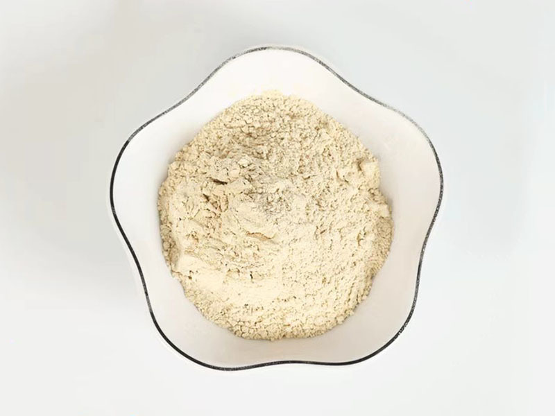 一级脱水大蒜粉 
